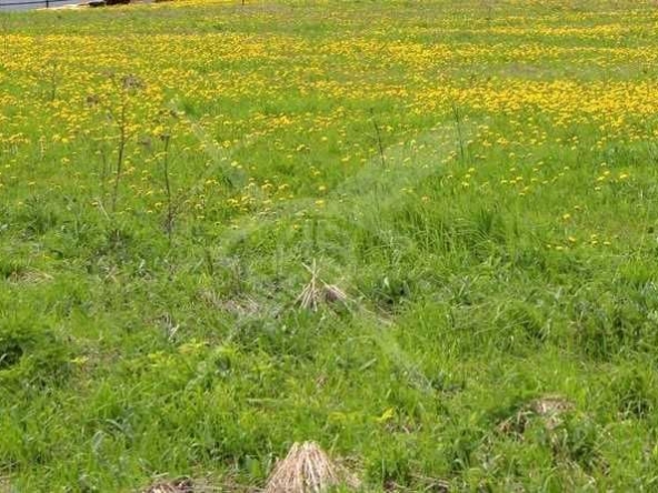 Парцел в с. Соколица, Област Пловдив - 5999 кв.м за 2 €/кв.м - Снимка #1