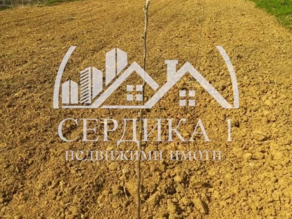Парцел в с. Згурово, Област Кюстендил - 3799 кв.м за 12 €/кв.м - Снимка #1