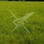 Парцел в Карлово - 578 кв.м за 31 €/кв.м - Снимка #1