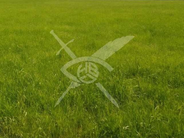 Парцел в Карлово - 578 кв.м за 31 €/кв.м - Снимка #1