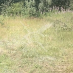 Парцел в с. Труд, Област Пловдив - 10796 кв.м за 13 €/кв.м - Снимка #1