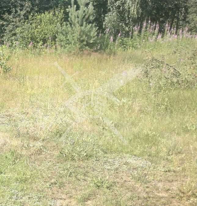 Парцел в с. Труд, Област Пловдив - 10796 кв.м за 13 €/кв.м - Снимка #1