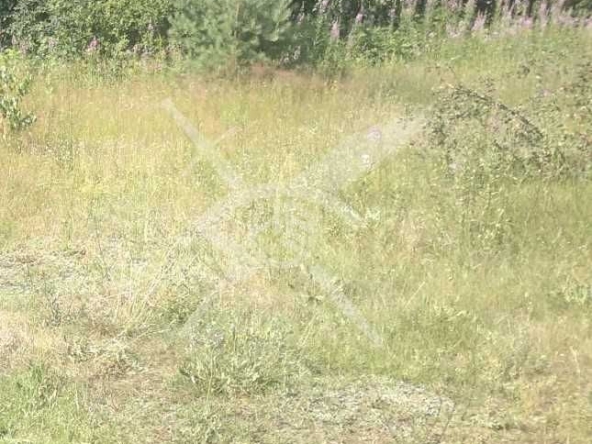 Парцел в с. Труд, Област Пловдив - 10796 кв.м за 25 €/кв.м - Снимка #1