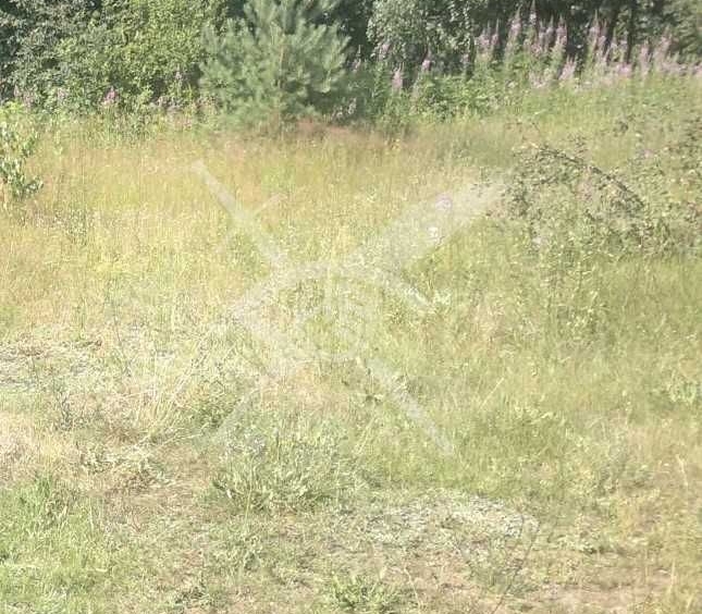 Парцел в с. Труд, Област Пловдив - 10796 кв.м за 25 €/кв.м - Снимка #1