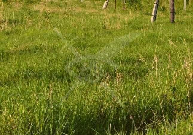 Парцел в с. Дедово, Област Пловдив - 3801 кв.м за 12 €/кв.м - Снимка #1