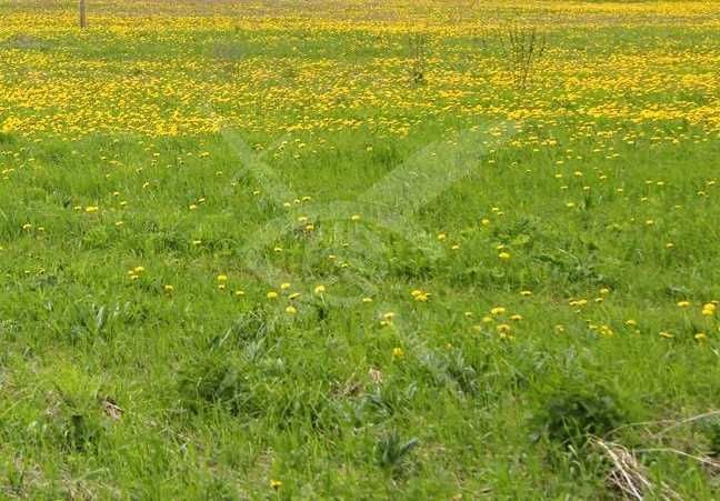 Парцел в Пловдив, Индустриална зона - Север - 5658 кв.м за 56 €/кв.м - Снимка #1