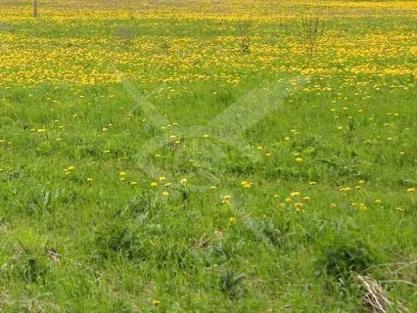 Парцел в Пловдив, Индустриална зона - Север - 5658 кв.м за 109 €/кв.м - Снимка #1