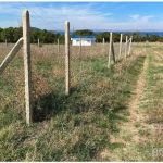 Парцел в Свети Влас - 400 кв.м за 62 €/кв.м - Снимка #1