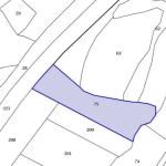 Парцел в с. Брестовица, Област Пловдив - 2000 кв.м за 6 €/кв.м - Снимка #1