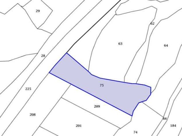 Парцел в с. Брестовица, Област Пловдив - 2000 кв.м за 6 €/кв.м - Снимка #1