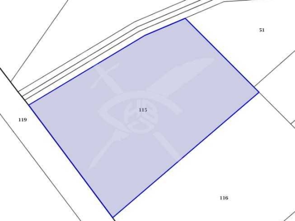 Парцел в с. Медово, Област Бургас - 10008 кв.м за 5 €/кв.м - Снимка #1