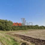 Парцел в с. Камен бряг, Област Добрич - 32413 кв.м за 1 €/кв.м - Снимка #1