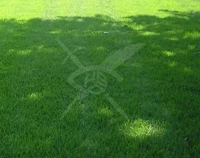 Парцел в Пловдив, Индустриална зона - Север - 13750 кв.м за 37 €/кв.м - Снимка #1