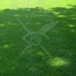 Парцел в Пловдив, Индустриална зона - Север - 13750 кв.м за 72 €/кв.м - Снимка #1