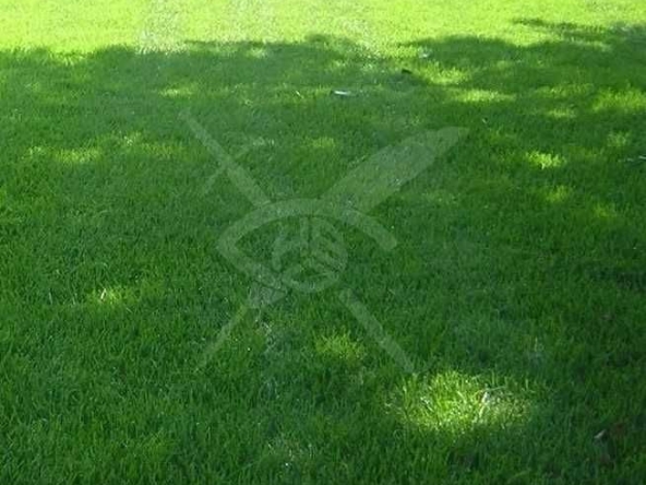 Парцел в Пловдив, Индустриална зона - Север - 13750 кв.м за 72 €/кв.м - Снимка #1