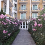 Дава се под наем Едностаен апартамент в к.к. Слънчев бряг - 37 кв.м за 54.57 € - Снимка #1