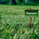 Дава се под наем Парцел в Варна, Център - 900 кв.м за 459 € - Снимка #1