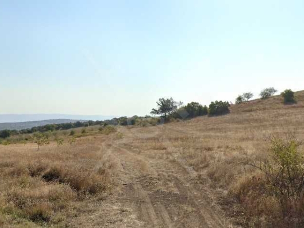 Парцел в с. Тънково, Област Бургас - 1250 кв.м за 17 €/кв.м - Снимка #1