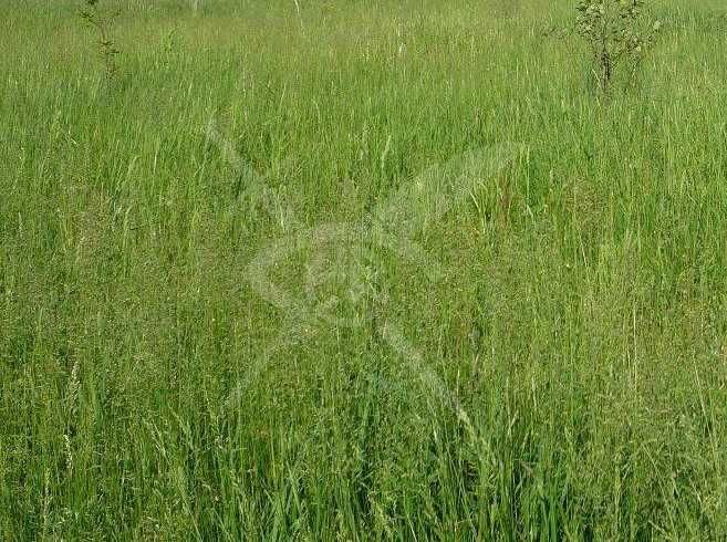 Парцел в с. Сакарци, Област Хасково - 13955 кв.м за 6 €/кв.м - Снимка #1