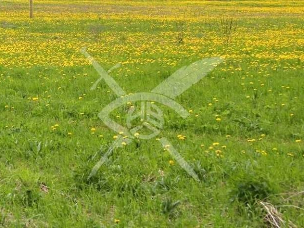 Парцел в Хисаря - 1132 кв.м за 47 €/кв.м - Снимка #1