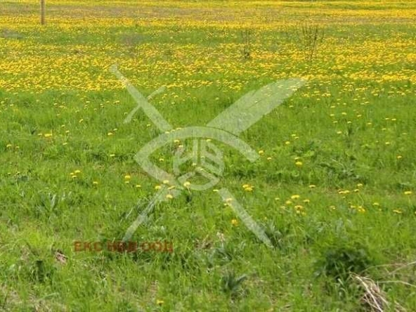 Парцел в Обзор - 120000 кв.м за 30 €/кв.м - Снимка #1