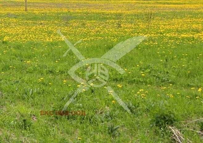 Парцел в Обзор - 120000 кв.м за 30 €/кв.м - Снимка #1
