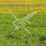 Парцел в Айтос - 1024 кв.м за 19 €/кв.м - Снимка #1