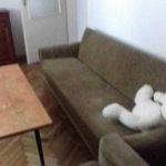 Дава се под наем Двустаен апартамент в Пловдив, Кършияка - 100 кв.м за 239.19 € - Снимка #1