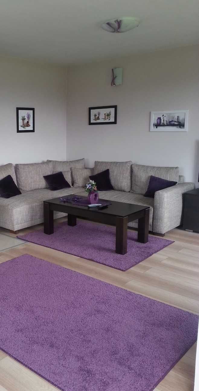 Дава се под наем Двустаен апартамент в София, Стрелбище - 60 кв.м за 900 € - Снимка #1