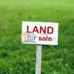 Парцел в Варна, м-т Боровец - юг - 1043 кв.м за 42 €/кв.м - Снимка #1