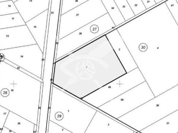 Парцел в с. Бенковски, Област Пловдив - 4201 кв.м за 22 €/кв.м - Снимка #1