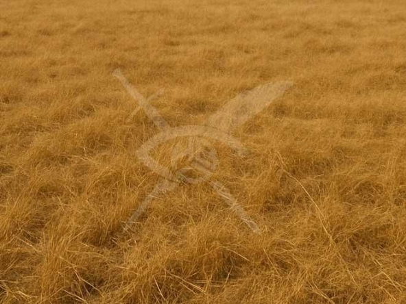 Парцел в Асеновград - 2895 кв.м за 20 €/кв.м - Снимка #1