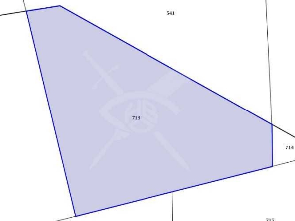 Парцел в с. Бенковски, Област Пловдив - 3305 кв.м за 20 €/кв.м - Снимка #1