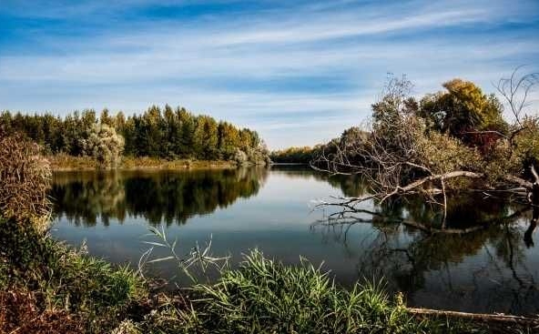 Парцел в с. Червенаково, Област Сливен - 840 кв.м за 35 €/кв.м - Снимка #1