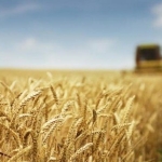 Земеделски имот в Балчик -  кв.м за 2193 €/дка - Снимка #1