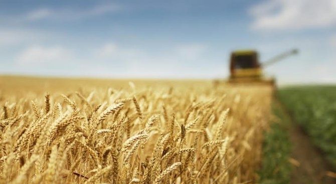 Земеделски имот в Балчик -  кв.м за 2193 €/дка - Снимка #1