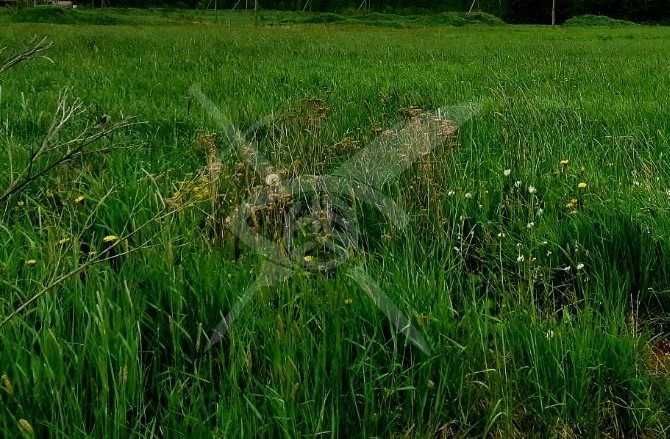 Парцел в с. Старосел, Област Пловдив - 854 кв.м за 2 €/кв.м - Снимка #1