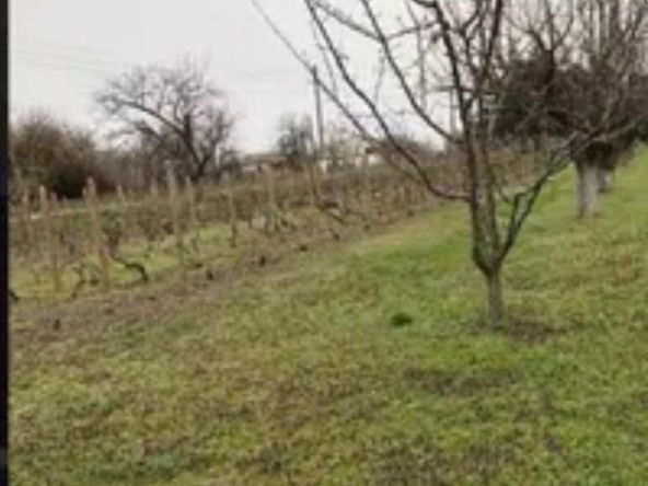 Парцел в Добрич, в.з. Лозята - 1200 кв.м за 10 €/кв.м - Снимка #1