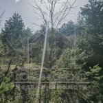 Парцел в с. Гълъбово, Област Пловдив - 2107 кв.м за 42 €/кв.м - Снимка #1