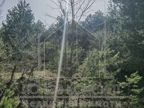 Парцел в с. Гълъбово, Област Пловдив - 2107 кв.м за 42 €/кв.м - Снимка #1