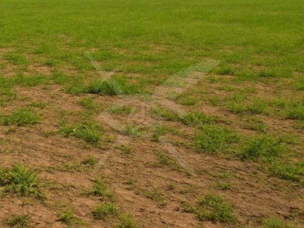 Парцел в с. Черничево, Област Кърджали - 831 кв.м за 15 €/кв.м - Снимка #1