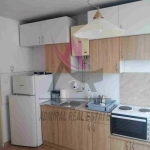 Дава се под наем Четиристаен апартамент в Варна, Нептун - 120 кв.м за 700 € - Снимка #1