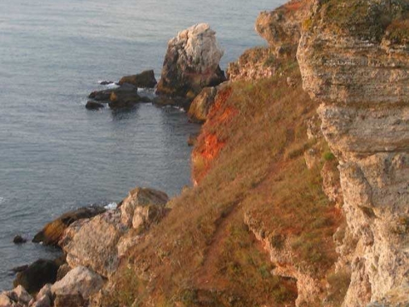 Парцел в с. Камен бряг, Област Добрич - 700 кв.м за 31 €/кв.м - Снимка #1