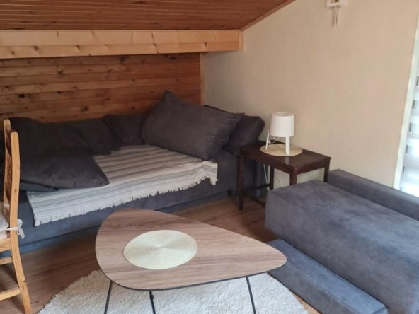 Дава се под наем Едностаен апартамент в София, Бояна - 80 кв.м за 460 € - Снимка #1