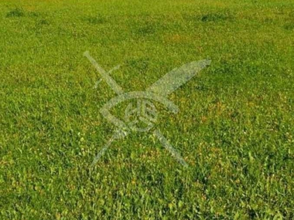 Парцел в София, Хладилника - 16631 кв.м за 50 €/кв.м - Снимка #1