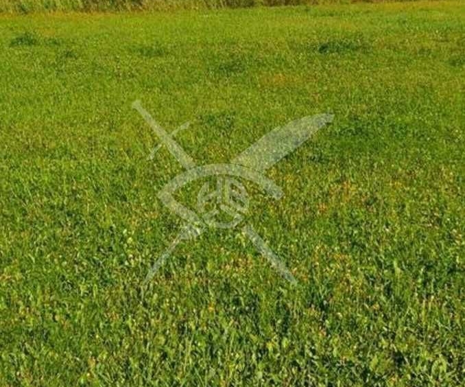 Парцел в София, Хладилника - 16631 кв.м за 50 €/кв.м - Снимка #1