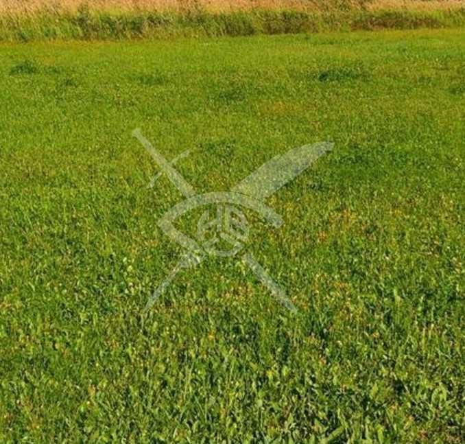 Парцел в София, Хладилника - 16631 кв.м за 50 €/кв.м - Снимка #1