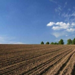 Земеделски имот в Русе, Център -  кв.м за 0 €/дка - Снимка #1