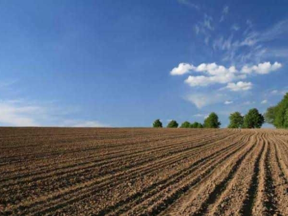 Земеделски имот в Русе, Център -  кв.м за 0 €/дка - Снимка #1