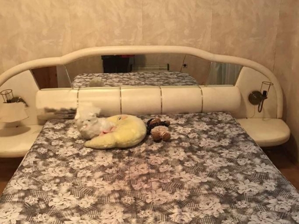 Дава се под наем Четиристаен апартамент в Варна, Спортна зала - 120 кв.м за 800 € - Снимка #1